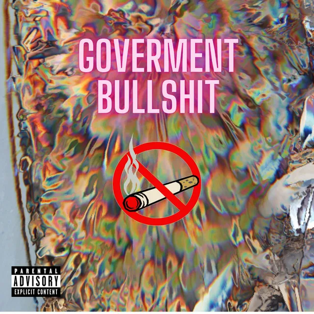 Goverment Bullshit