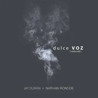 Dulce Voz (Radio Edit) by Jay Duran