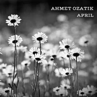 April by Ahmet Ozatik