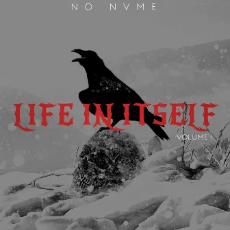 Life In Itself by NO NVME