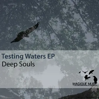 Testing Waters by Deep Souls