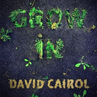 Grow In by David Cairol