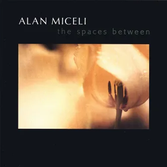 The Spaces Between by Alan Miceli