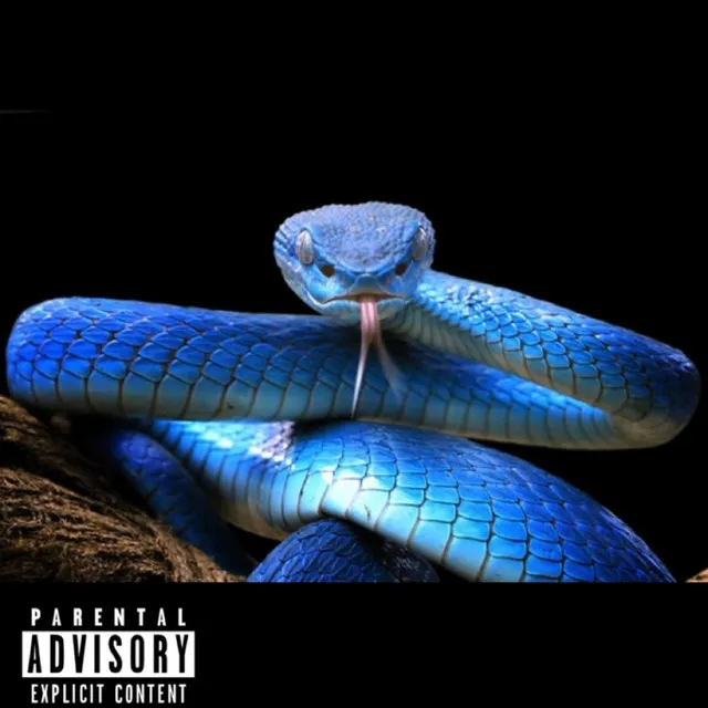 Snakes