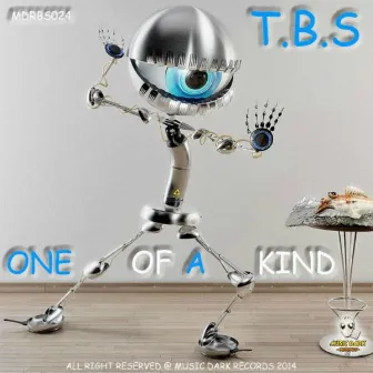 One Of A Kind by T.B.S.