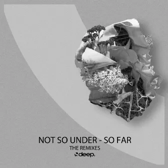 So Far (The Remixes) by Not So Under