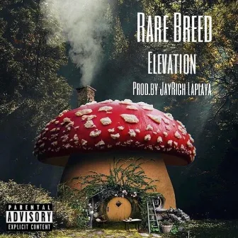 Elevation by Rare Breed