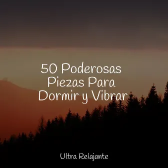 50 Poderosas Piezas Para Dormir y Vibrar by Unknown Artist