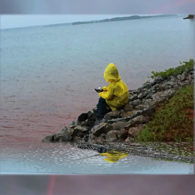 Mjuk Regn Och Åska Arg (Gentle Rain and Angry Thunder)