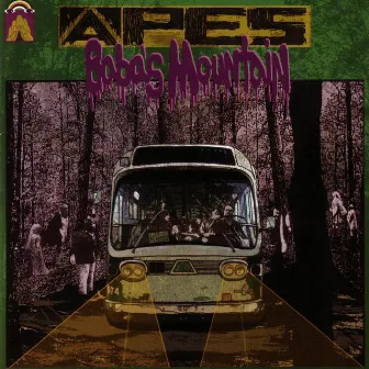 Baba's Mountain by The Apes