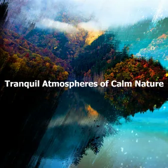 Tranquil Atmospheres of Calm Nature by Nature Atmospheres