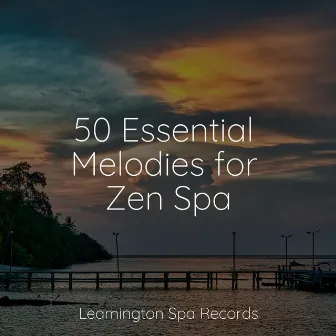 50 Essential Melodies for Zen Spa by Rain Sounds ACE