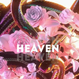 HEAVEN by Bradd Lee