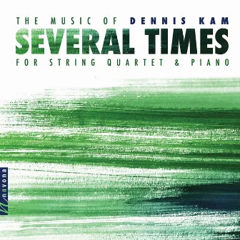 Dennis Kam: Several Times by 