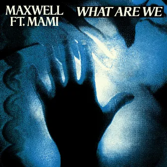 What Are We by Maxwell