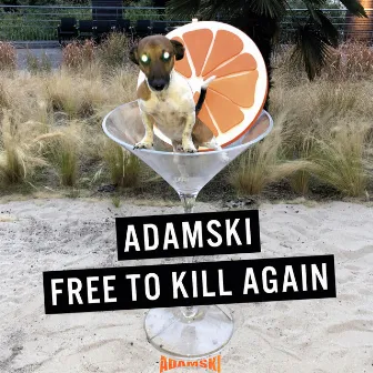 Free to Kill Again by Adamski