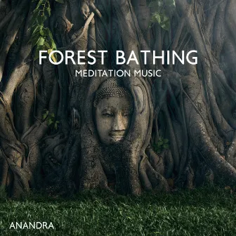 Forest Bathing Meditation Music: Shinrin-Yoku, Sink into Nature, Increase Happiness, Health, Vitality by Anandra