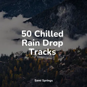 50 Heavy Rain Sounds by Soothing Music Academy