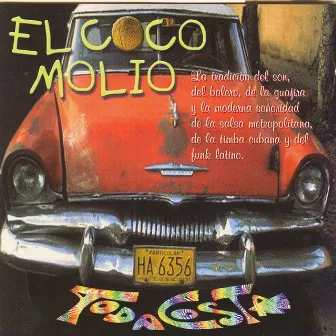 El coco molio by TodaCosta