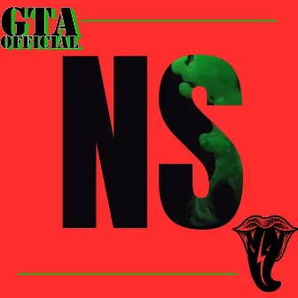 NS by GTA Official