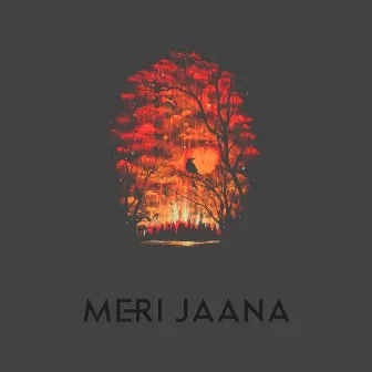 Meri Jaana by Acent