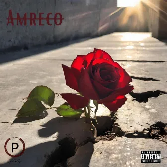 Concrete Rose by Amreco