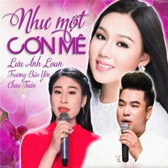 Như Một Cơn Mê by Châu Tuấn