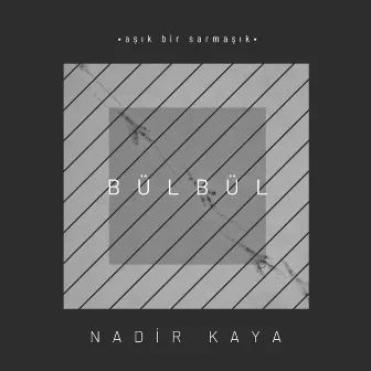 Bülbül by Nadir Kaya