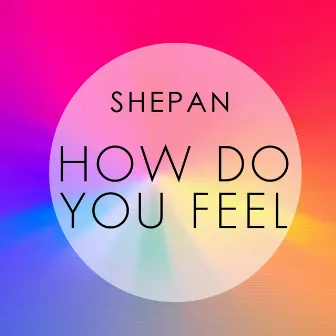 How Do You Feel by Shepan