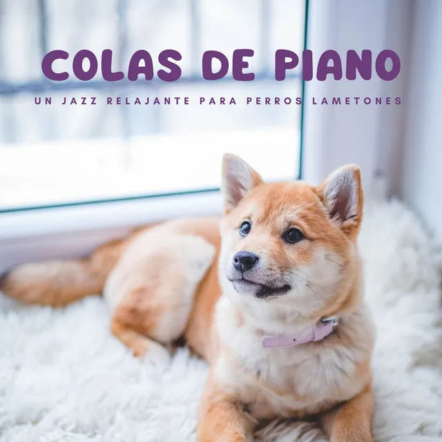 Colas De Piano: Un Jazz Relajante Para Perros Lametones