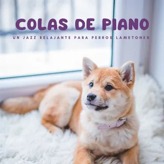 Colas De Piano: Un Jazz Relajante Para Perros Lametones by Salón Jazz Chill Out