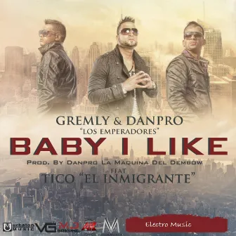 Baby I Like (feat. Tico el Inmigrante) by DANPRO