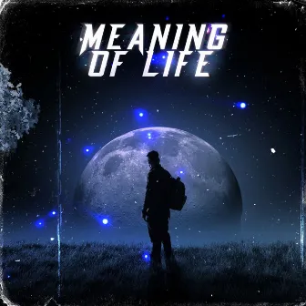 MEANING OF LIFE by ZEF1RK1N