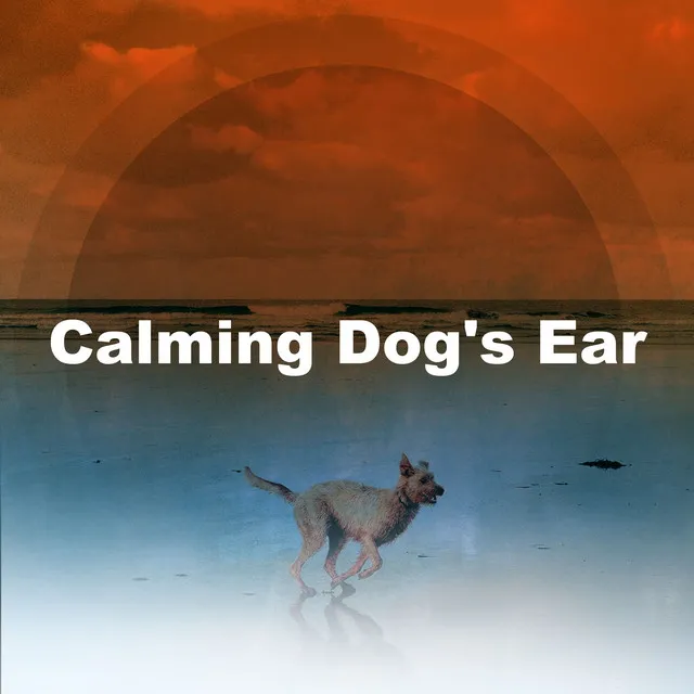 Calming Dog's Ear