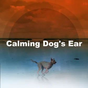 Calming Dog's Ear by Music for Dog's Ear