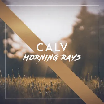 Morning Rays by CALV (UK)