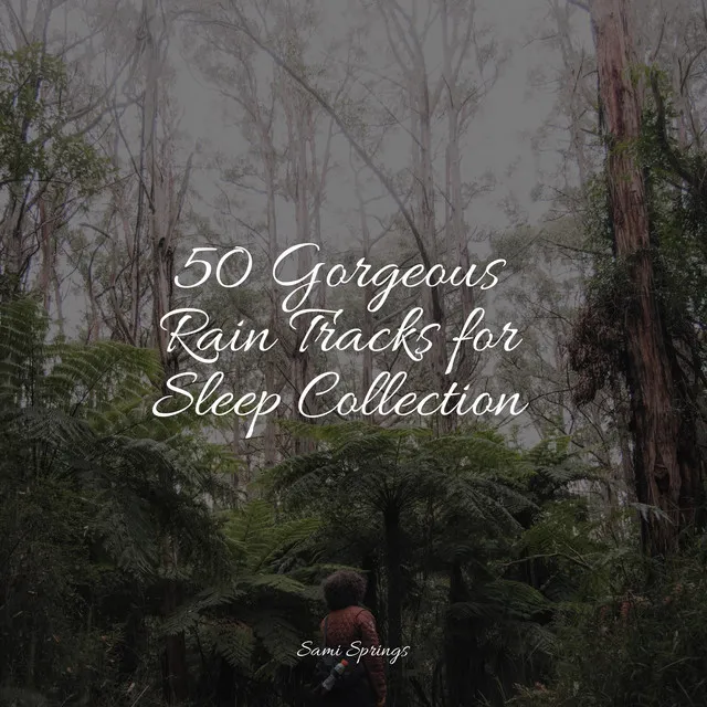 50 Gorgeous Rain Tracks for Sleep Collection