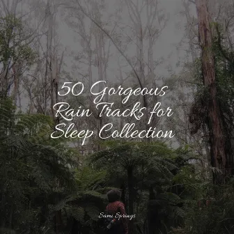 50 Gorgeous Rain Tracks for Sleep Collection by Binaural Beats Brain Waves Isochronic Tones Brain Wave Entertainment