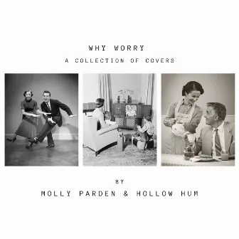 Why Worry: A Collection of Covers by Molly Parden