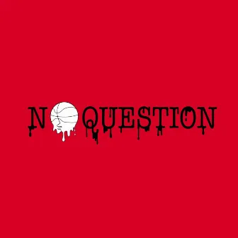 NO QUESTION | NØ QU3$T!0N by kerst