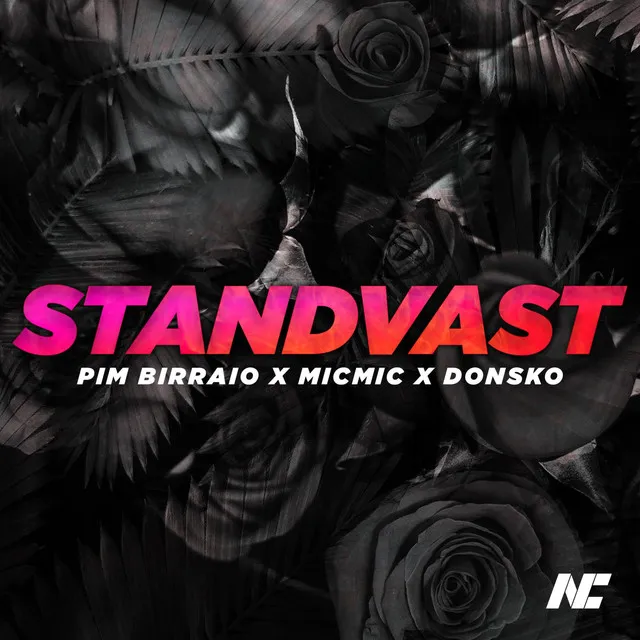 Standvast