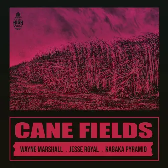 Cane Fields by Natural High Music