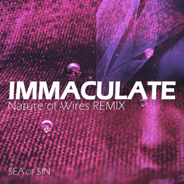 Immaculate - Nature of Wires Remix