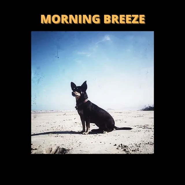 Morning Breeze