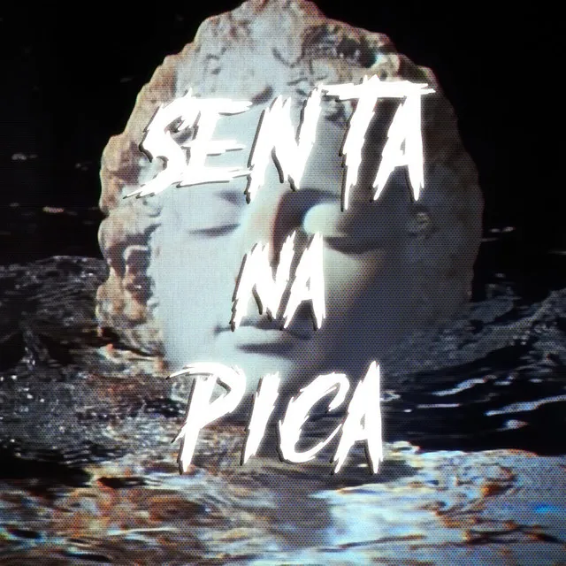 SENTA NA PICA - Slowed