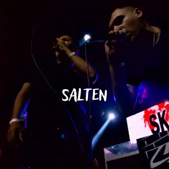 SALTEN by Ocho Sk