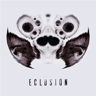 Eclosión by Munn