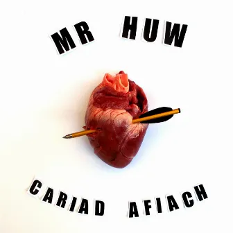 Cariad Afiach by Mr Huw