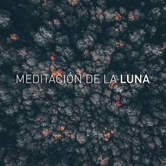 Yoga Music by Meditación De La Luna