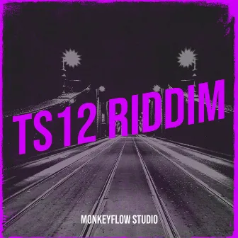 Ts12 Riddim by Monkeyflow Studio